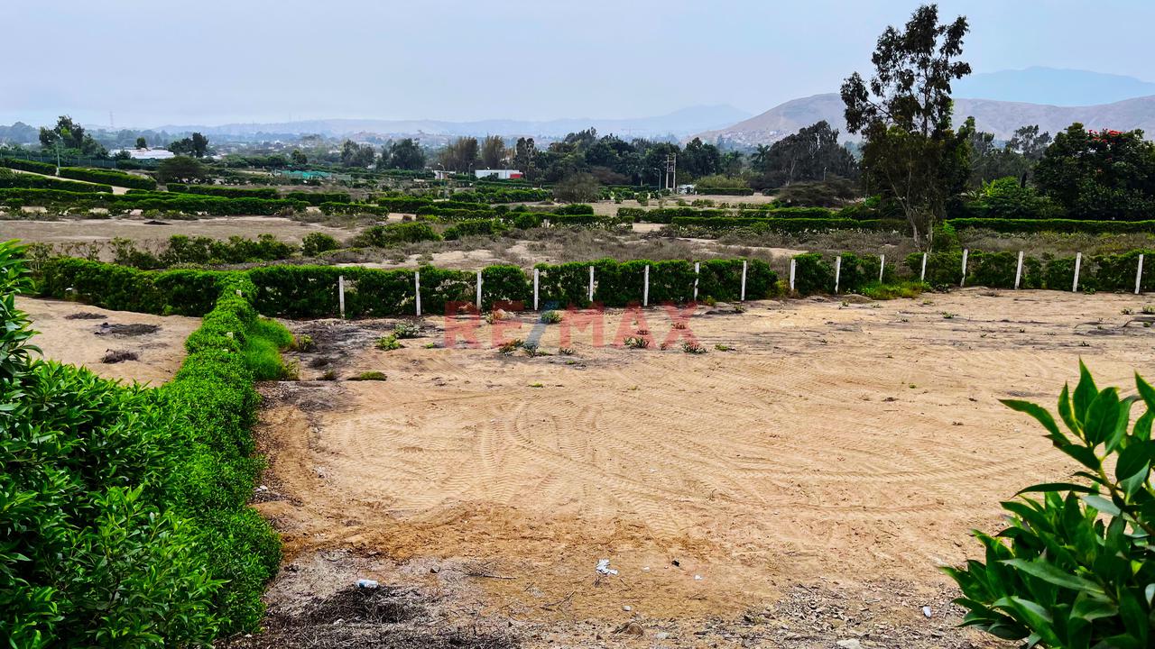 ¡Bajo De Precio!  Terreno En Condominio Finca Maria Pachacamac — foto 7