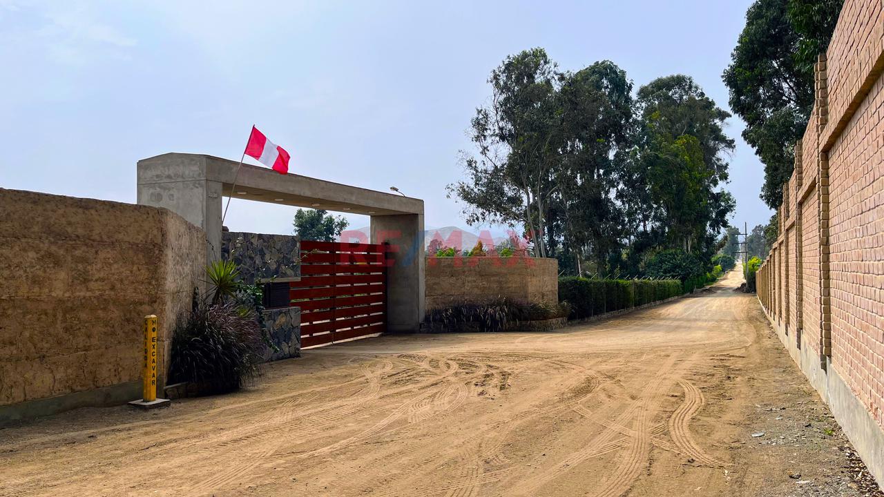 ¡Bajo De Precio!  Terreno En Condominio Finca Maria Pachacamac — foto 2