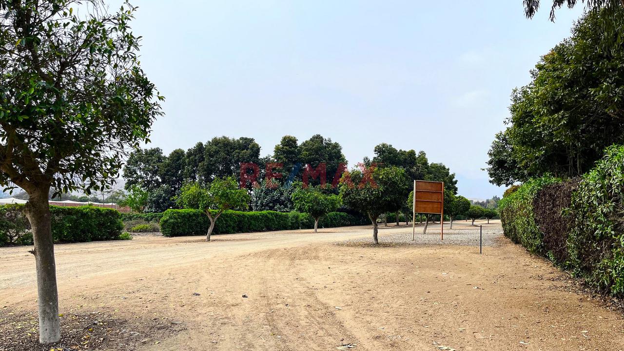 ¡Bajo De Precio!  Terreno En Condominio Finca Maria Pachacamac — foto 13