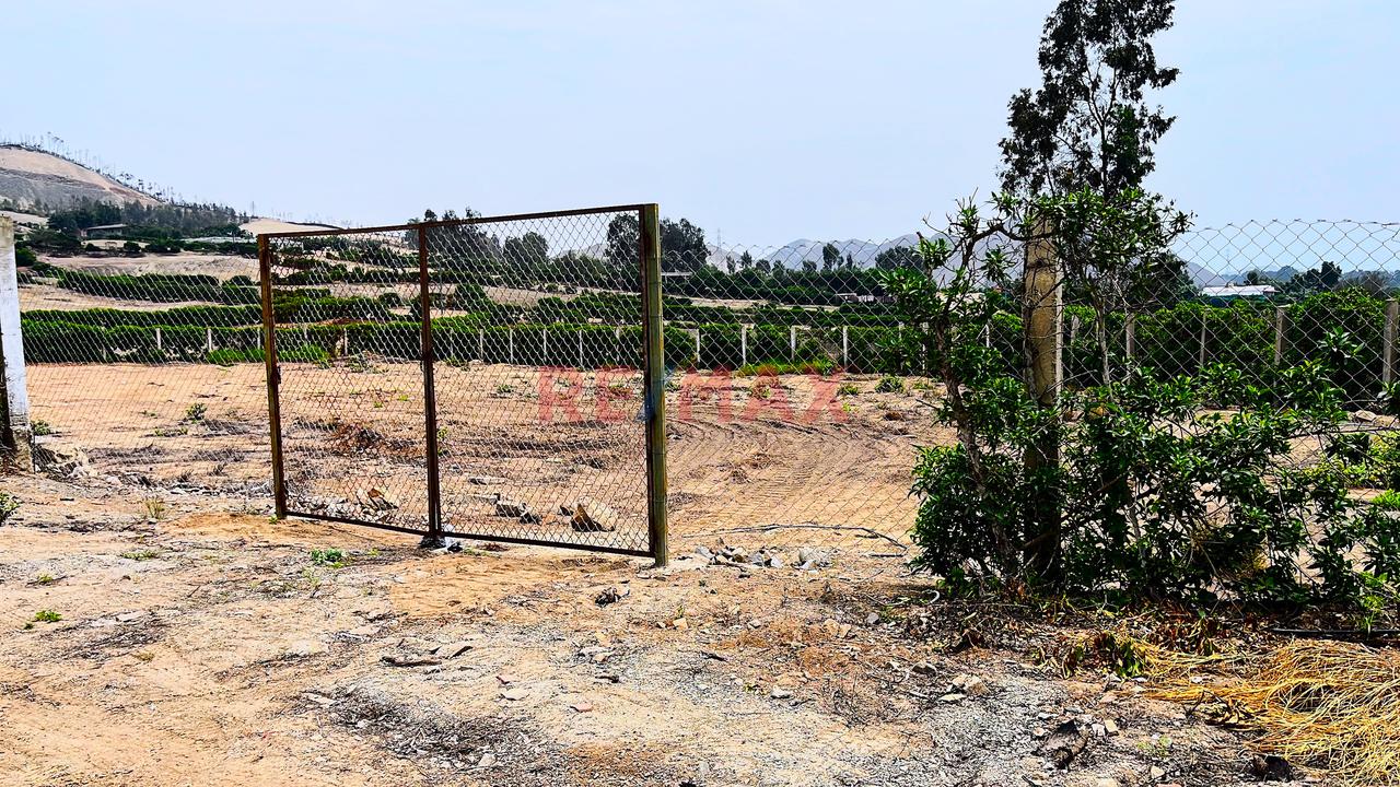 ¡Bajo De Precio!  Terreno En Condominio Finca Maria Pachacamac — foto 6
