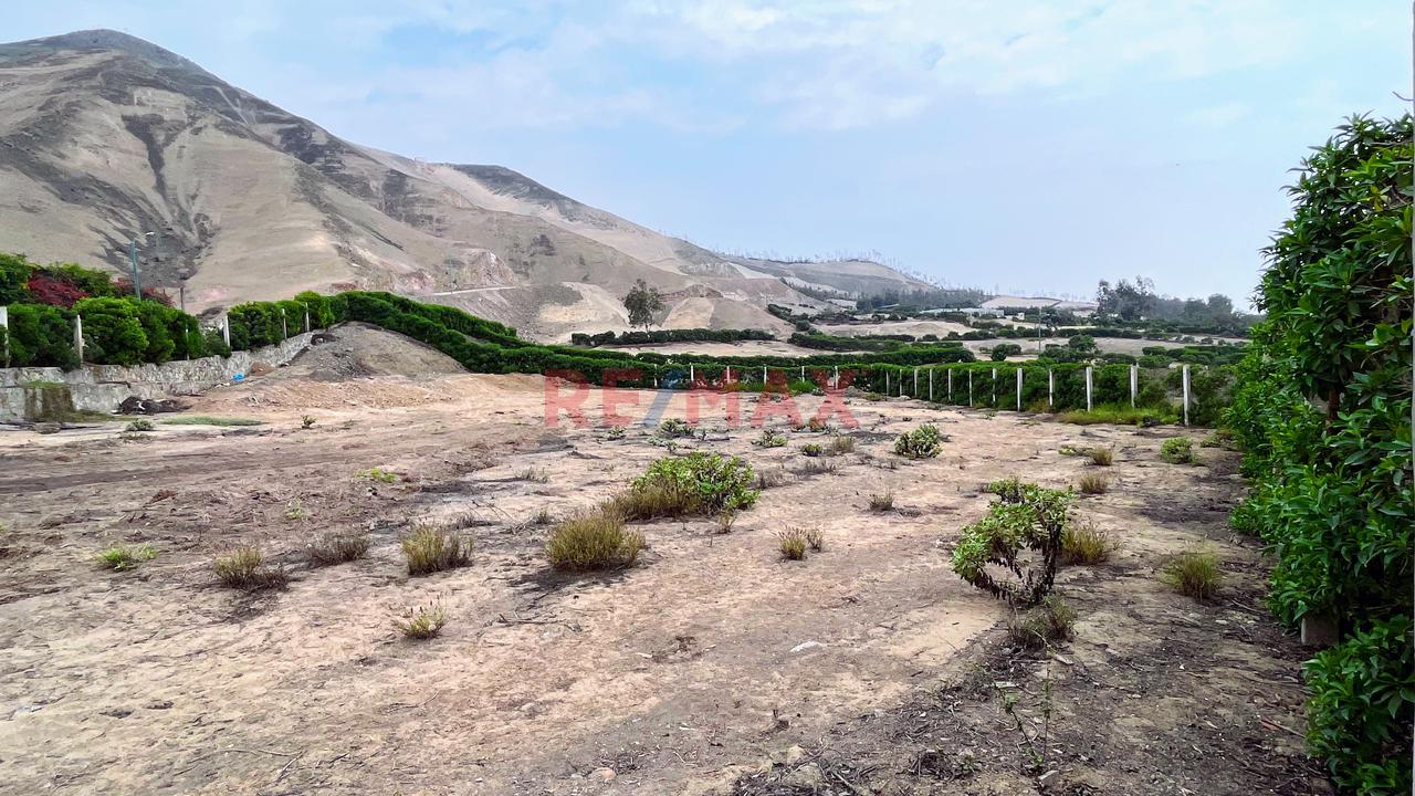 ¡Bajo De Precio!  Terreno En Condominio Finca Maria Pachacamac — foto 10