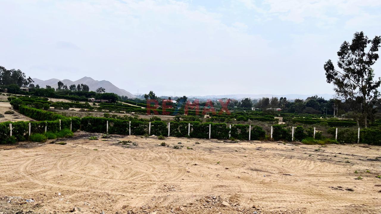 ¡Bajo De Precio!  Terreno En Condominio Finca Maria Pachacamac — foto 9