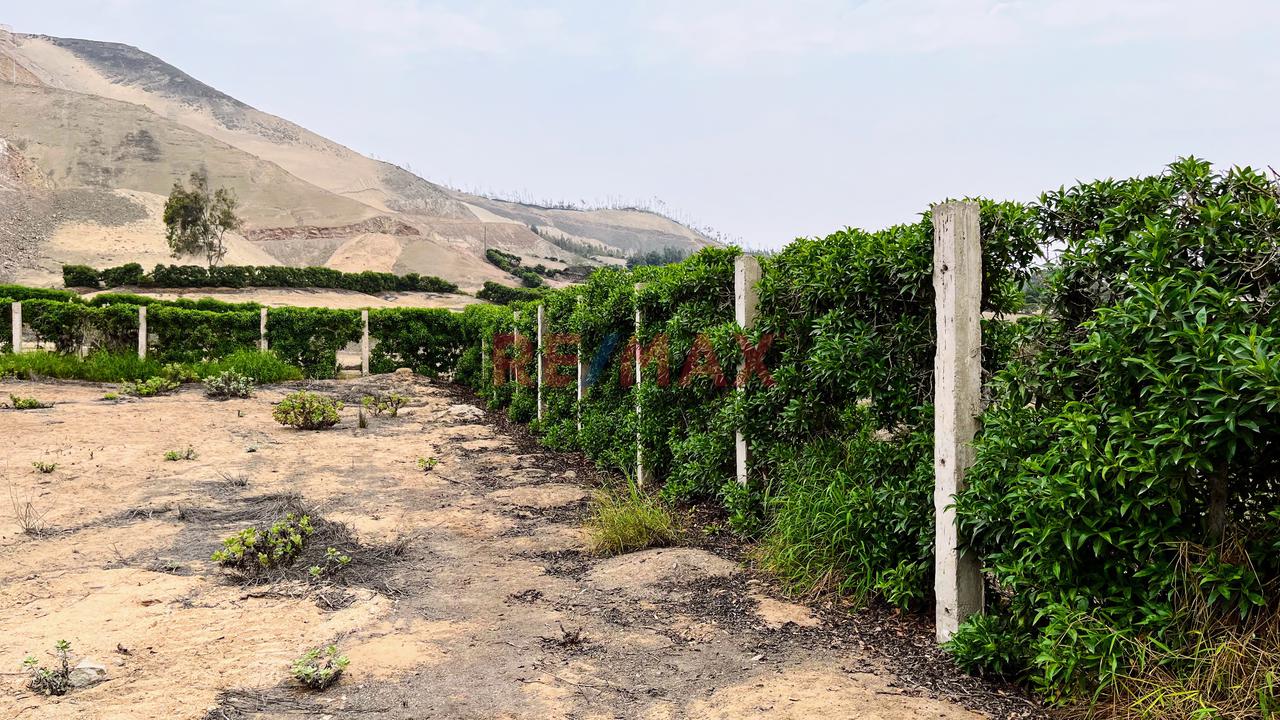 ¡Bajo De Precio!  Terreno En Condominio Finca Maria Pachacamac — foto 8