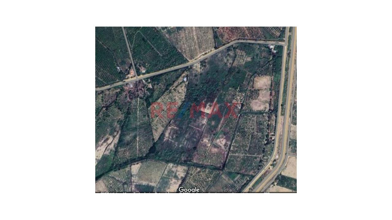 Vendo Terreno Agricola 13.04 Hectareas En Cieneguillo Sur Sullana - 2