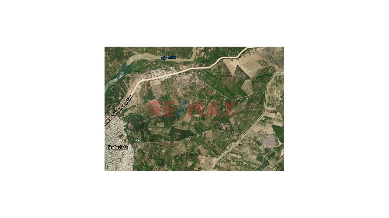 Vendo Terreno Agricola 13.04 Hectareas En Cieneguillo Sur Sullana - 4