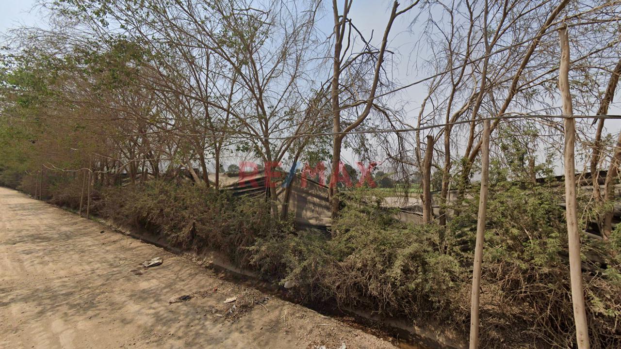Terreno Rural De 29,788 M² En Carabayllo - 1