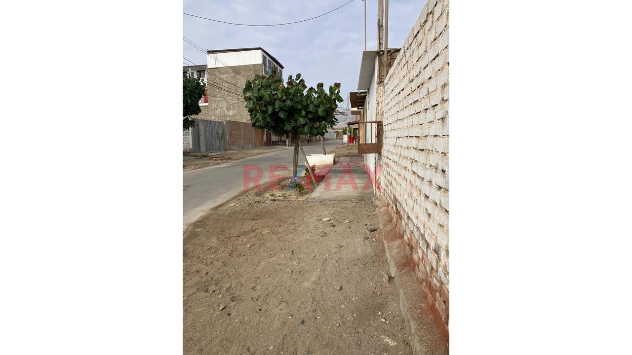 Terreno en Chilca — foto 5