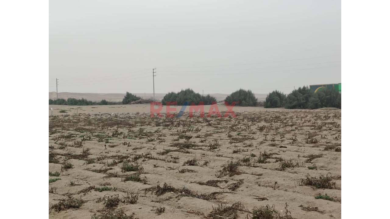 Terreno Agrícola 5.750Ha –Proyecto Irrigacion Paraiso - Huaura, Santa María Us$ 46.00M2 - 3