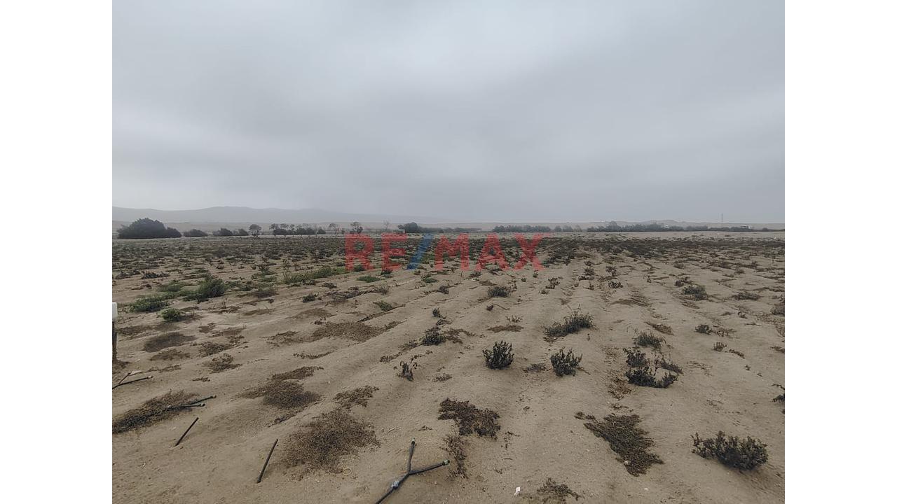 Terreno Agrícola 5.750Ha –Proyecto Irrigacion Paraiso - Huaura, Santa María Us$ 46.00M2 - 4