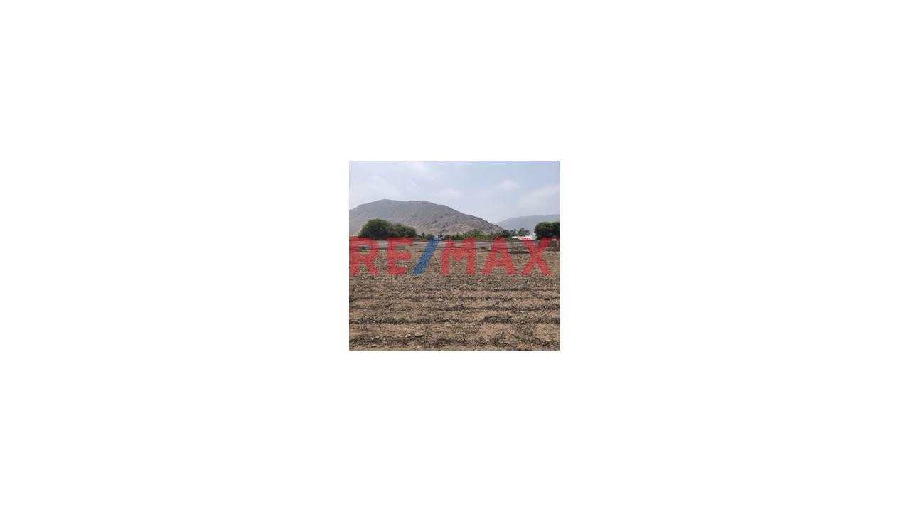 Terreno Agrícola 5.750Ha –Proyecto Irrigacion Paraiso - Huaura, Santa María Us$ 46.00M2 - 1