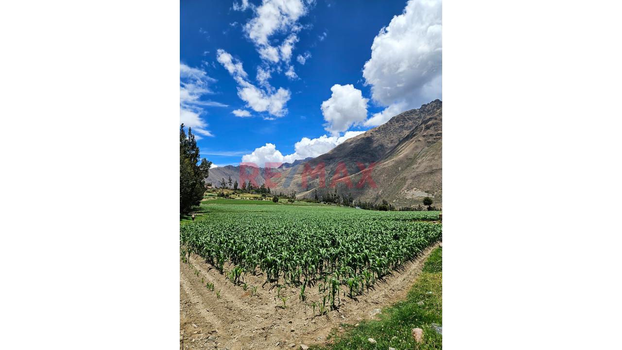 🏞 Venta De Terreno – Ollantaytambo, Valle Sagrado 🌱✨ - 8