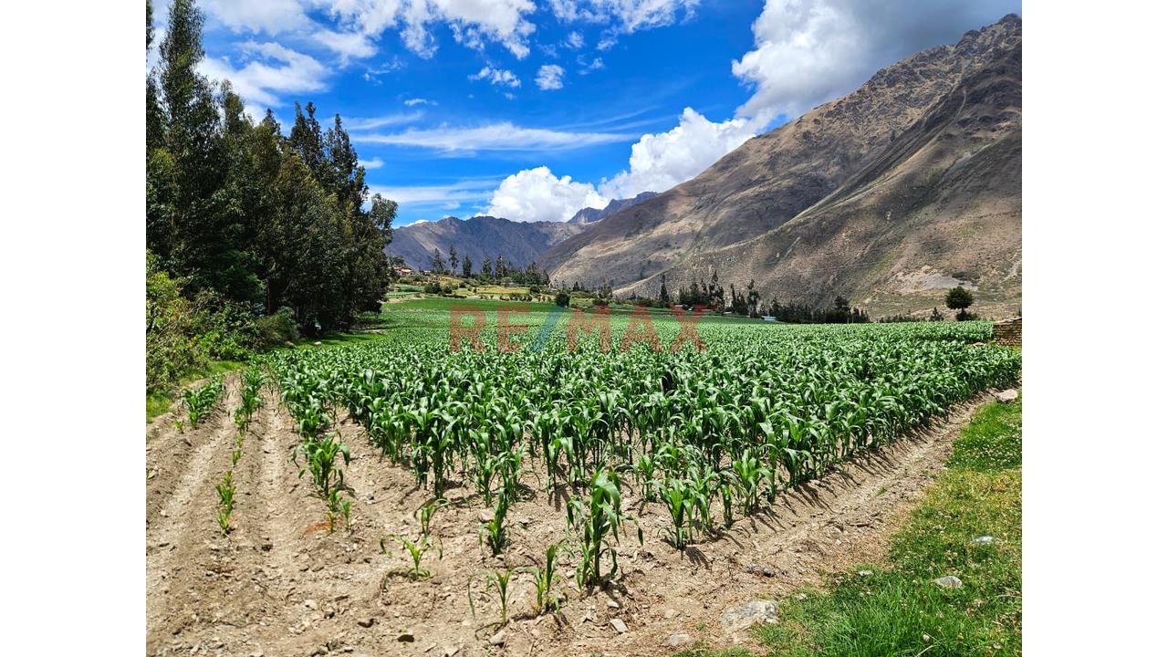 🏞 Venta De Terreno – Ollantaytambo, Valle Sagrado 🌱✨ - 17