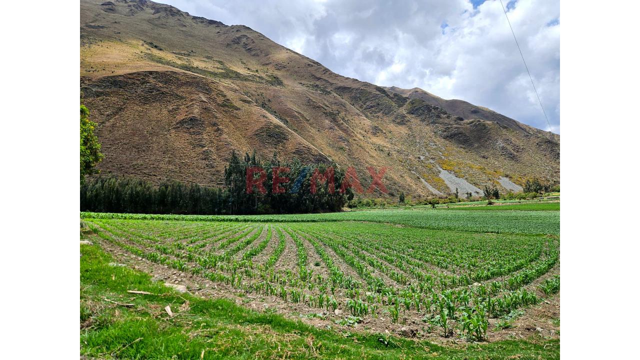 🏞 Venta De Terreno – Ollantaytambo, Valle Sagrado 🌱✨ - 1