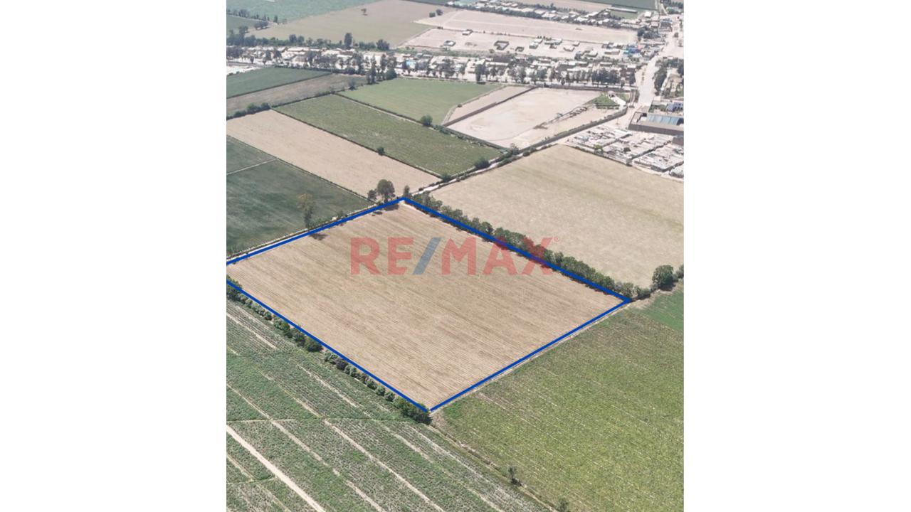 Venta De Terreno : Con Alta Rentabilidad Agrícola En Cañete - 2
