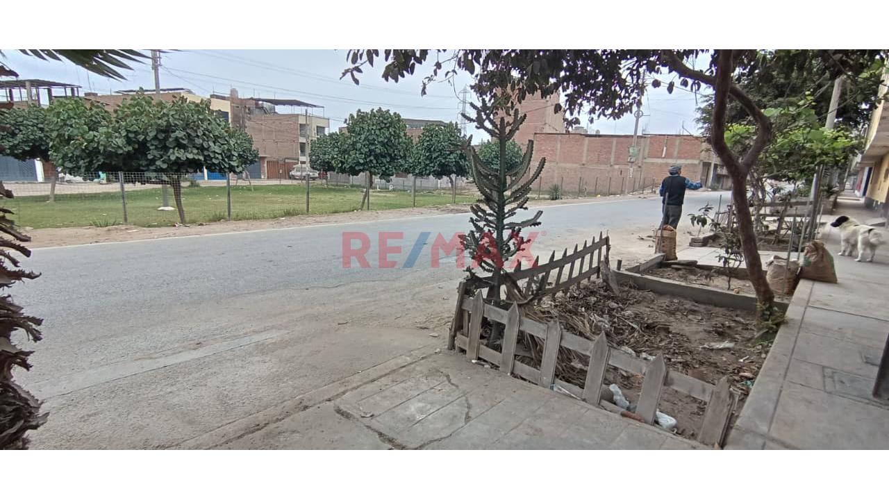 Se Vende Casa Como Terreno En Puente Piedra Frente A Parque A 5 Cuadras De La Panamericana Norte - 16