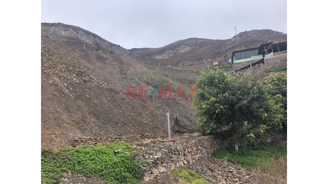 ¡Oportunidad Única! Terreno En Condominio Lomas De Jatosisa, Pachacamac — foto 3