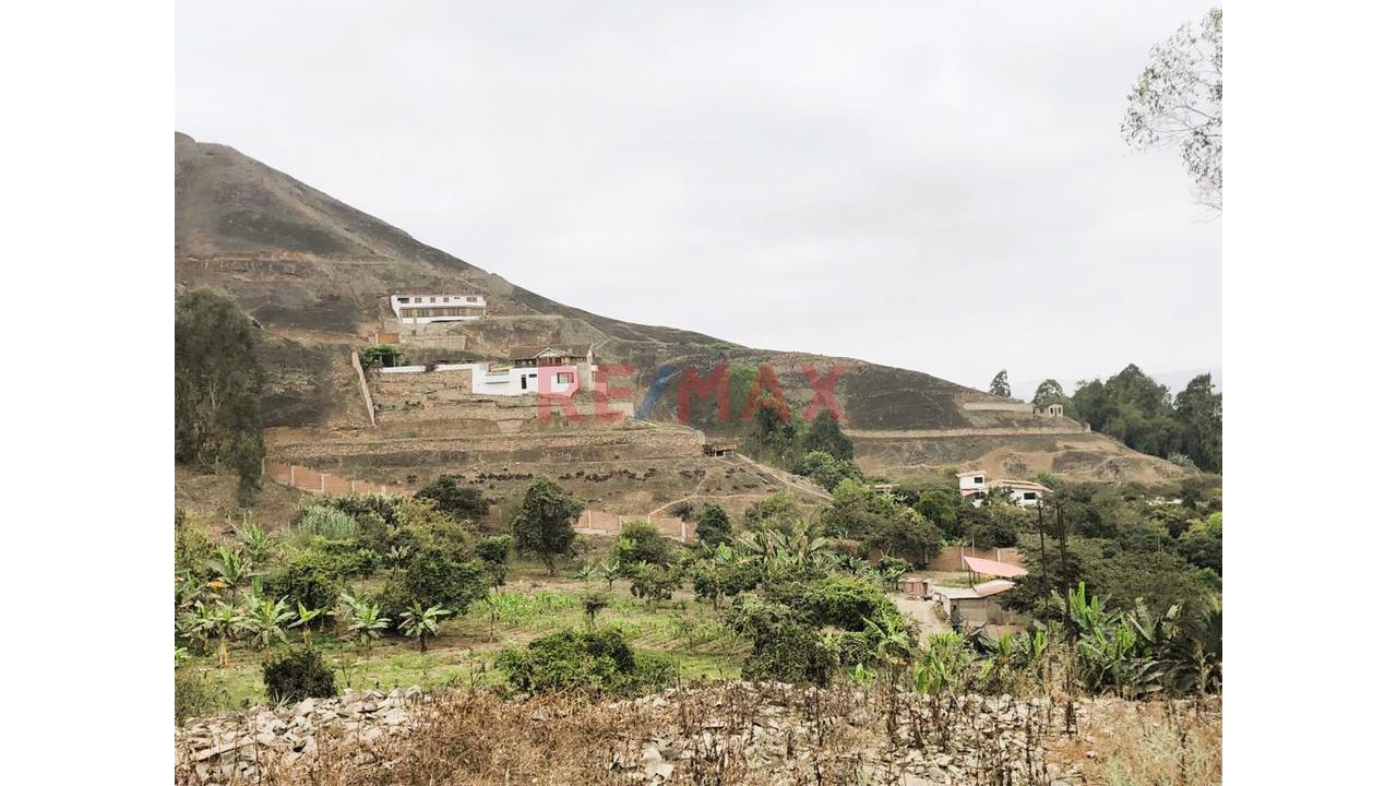 ¡Oportunidad Única! Terreno En Condominio Lomas De Jatosisa, Pachacamac — foto 9