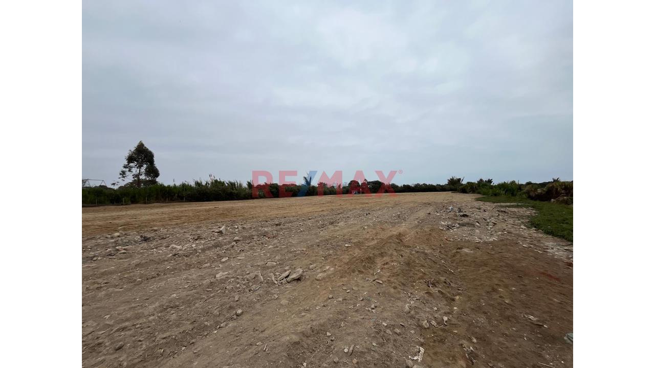 Terreno Ideal Para Proyectos Inmobiliarios En Grocio Prado - 11