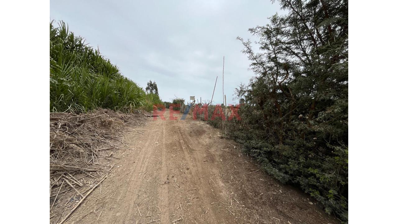 Terreno Ideal Para Proyectos Inmobiliarios En Grocio Prado - 3