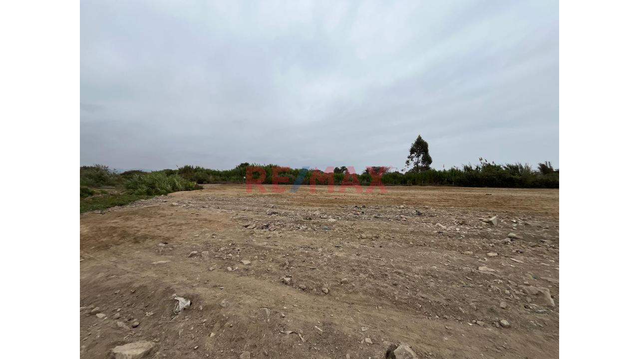 Terreno Ideal Para Proyectos Inmobiliarios En Grocio Prado - 6