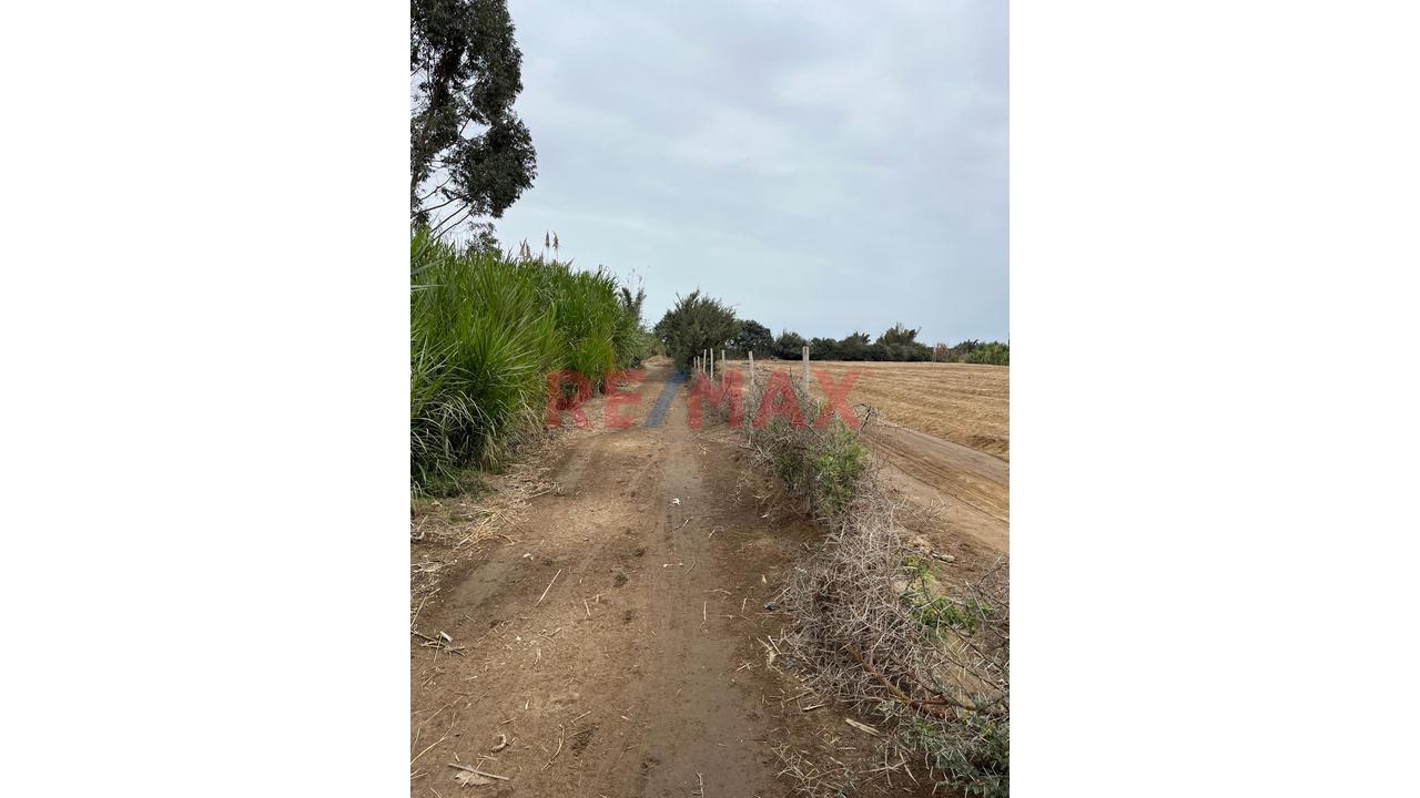 Terreno Ideal Para Proyectos Inmobiliarios En Grocio Prado - 4