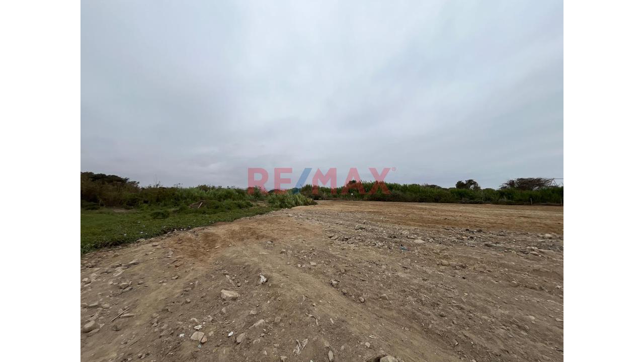 Terreno Ideal Para Proyectos Inmobiliarios En Grocio Prado - 10