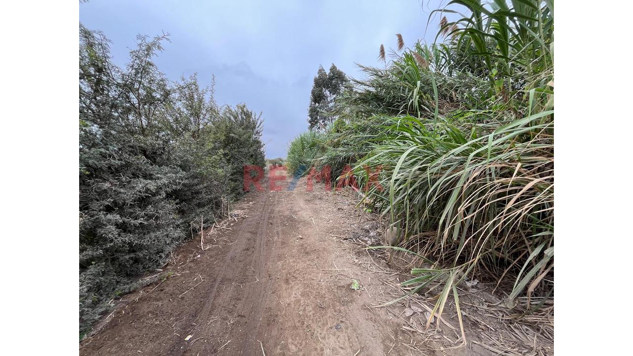 Terreno Ideal Para Proyectos Inmobiliarios En Grocio Prado - 5