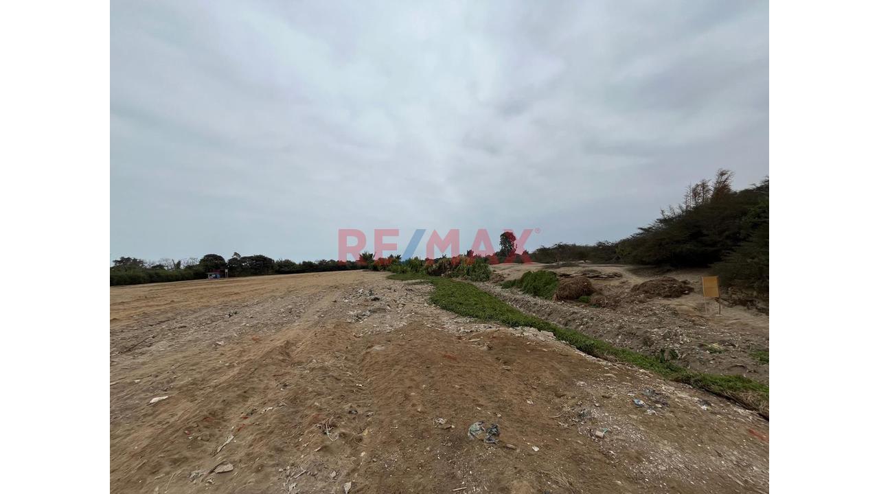 Terreno Ideal Para Proyectos Inmobiliarios En Grocio Prado - 8