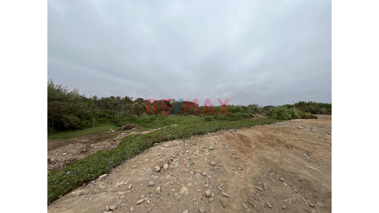 Terreno Ideal Para Proyectos Inmobiliarios En Grocio Prado - 7