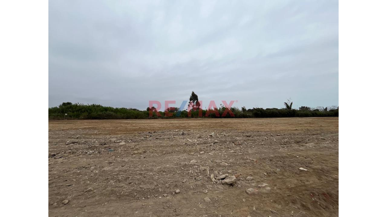 Terreno Ideal Para Proyectos Inmobiliarios En Grocio Prado - 9