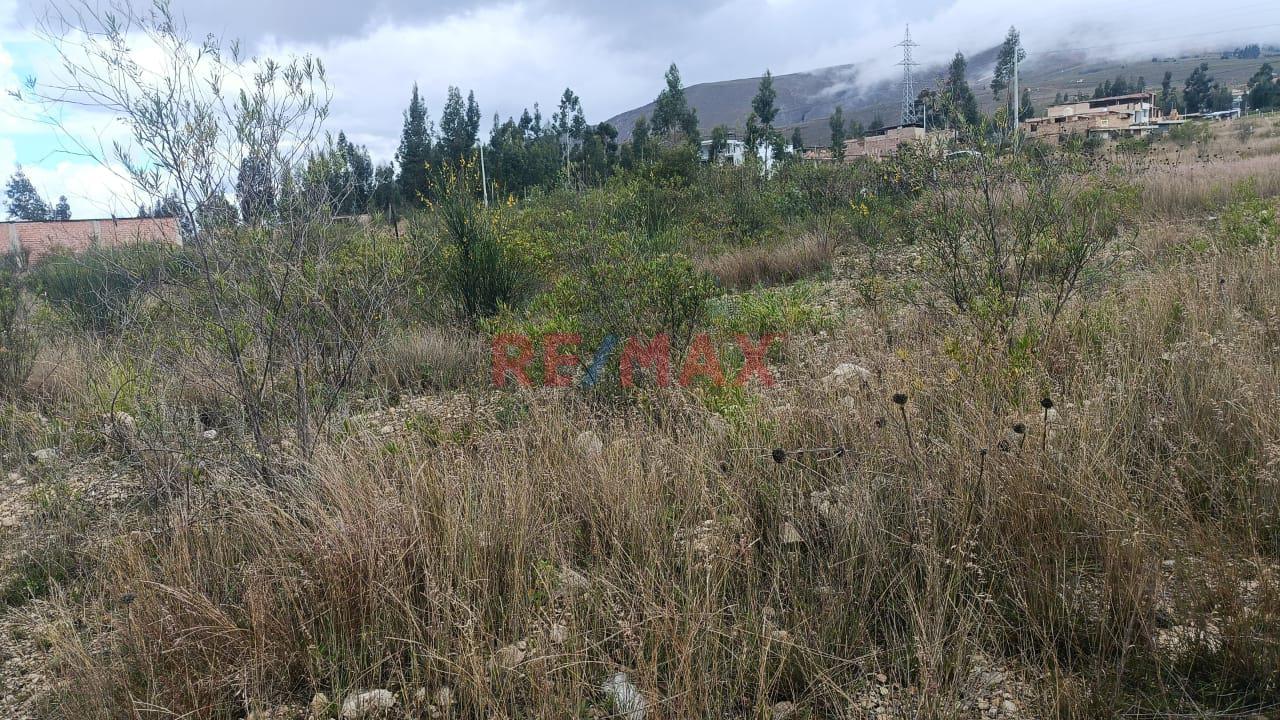 Vendo Terreno Urbano En Departamento De Cajamarca - 6