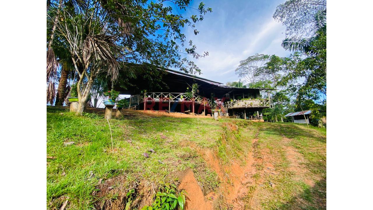 Terreno De 21 Hectáreas Más Casa De Material Noble Y Otra De Madera - 3