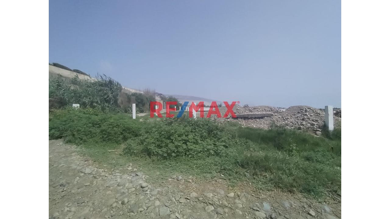 Gran Terreno Logístico En Aucallama – Ideal Para Almacenes O Proyecto Industrial 🏗️ - 5