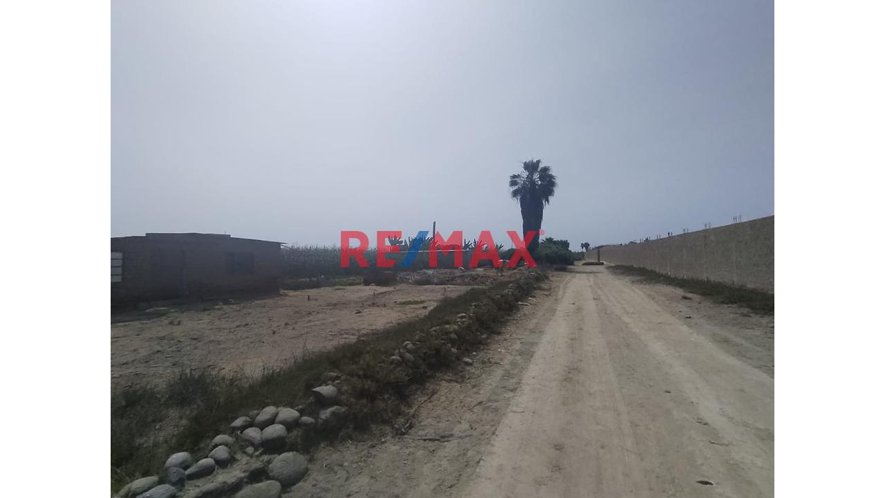 Gran Terreno Logístico En Aucallama – Ideal Para Almacenes O Proyecto Industrial 🏗️ - 2