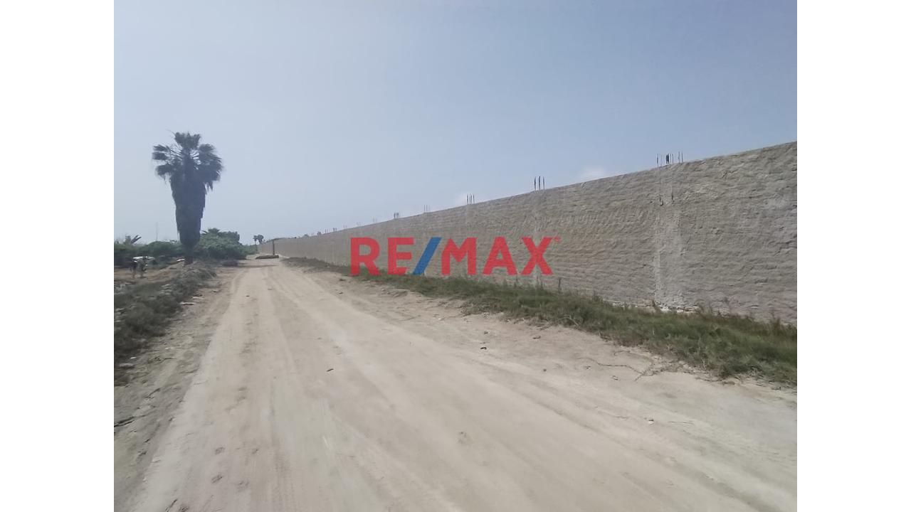 Gran Terreno Logístico En Aucallama – Ideal Para Almacenes O Proyecto Industrial 🏗️ - 3