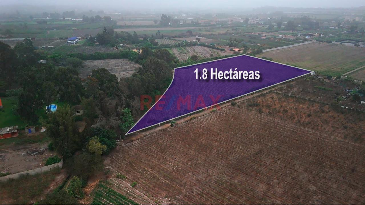 Terreno De 1.8 Hectáreas En Bujama, Mala – Cañete — foto 4
