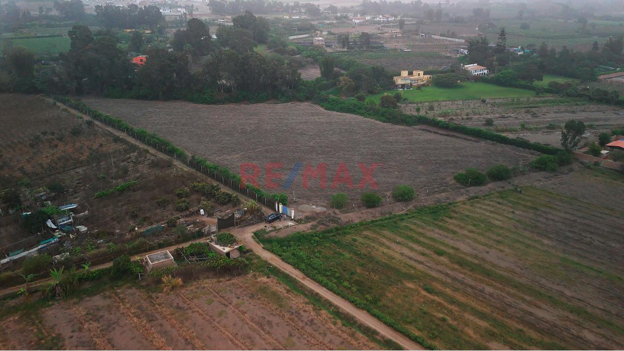 Terreno De 1.8 Hectáreas En Bujama, Mala – Cañete — foto 7