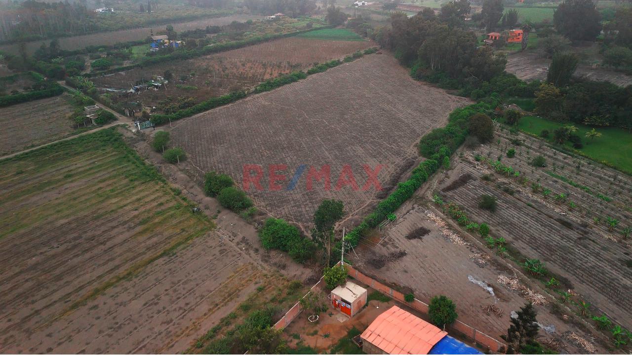 Terreno De 1.8 Hectáreas En Bujama, Mala – Cañete — foto 8