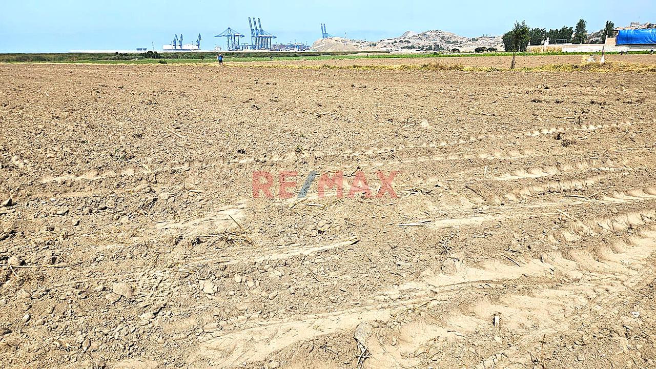 Venta De 1.17 Has En Chancay A 2Km Del Puerto $130 Por M2 - Sector Las Salinas - 11
