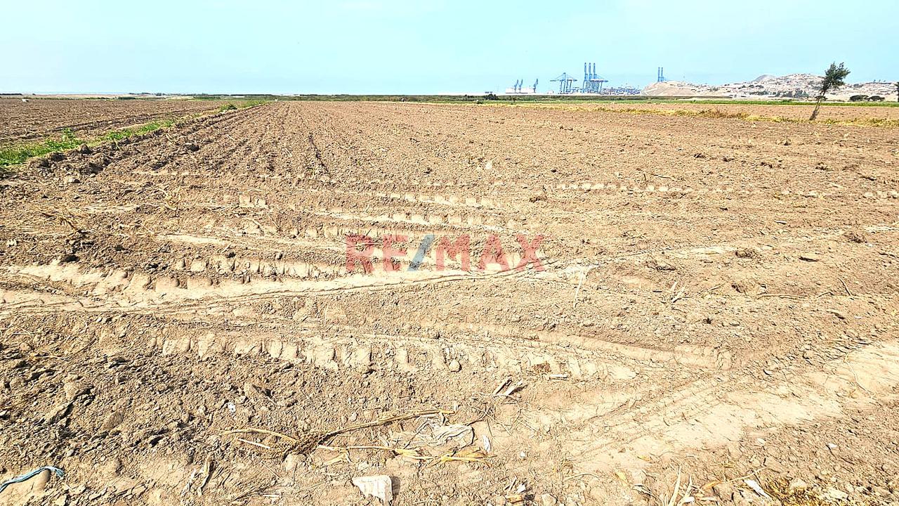 Venta De 1.17 Has En Chancay A 2Km Del Puerto $130 Por M2 - Sector Las Salinas - 8