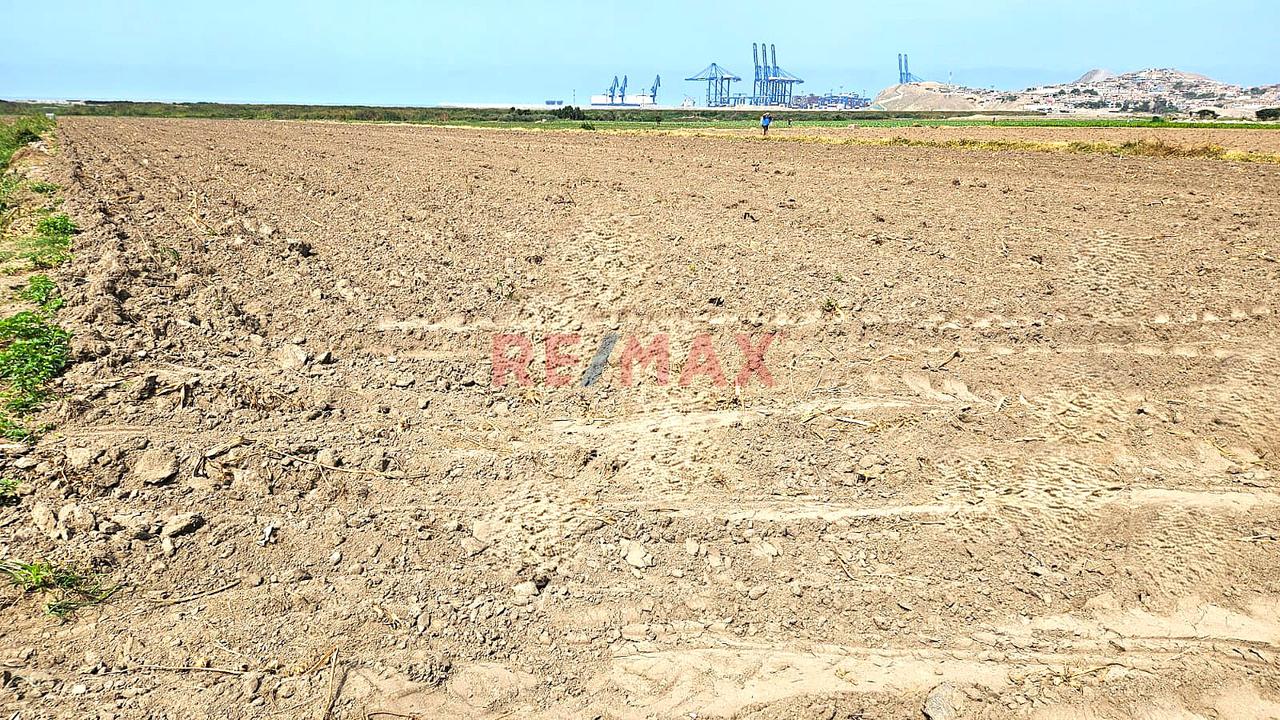 Venta De 1.17 Has En Chancay A 2Km Del Puerto $130 Por M2 - Sector Las Salinas - 12