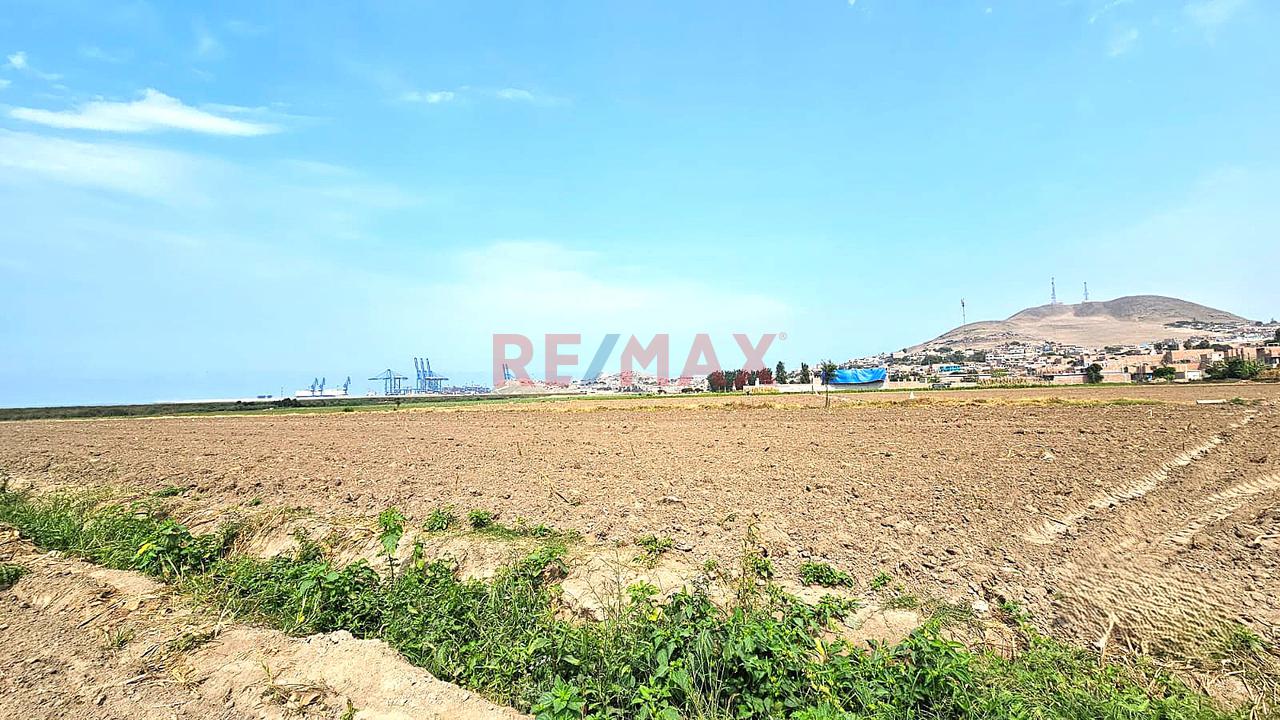 Venta De 1.17 Has En Chancay A 2Km Del Puerto $130 Por M2 - Sector Las Salinas - 13
