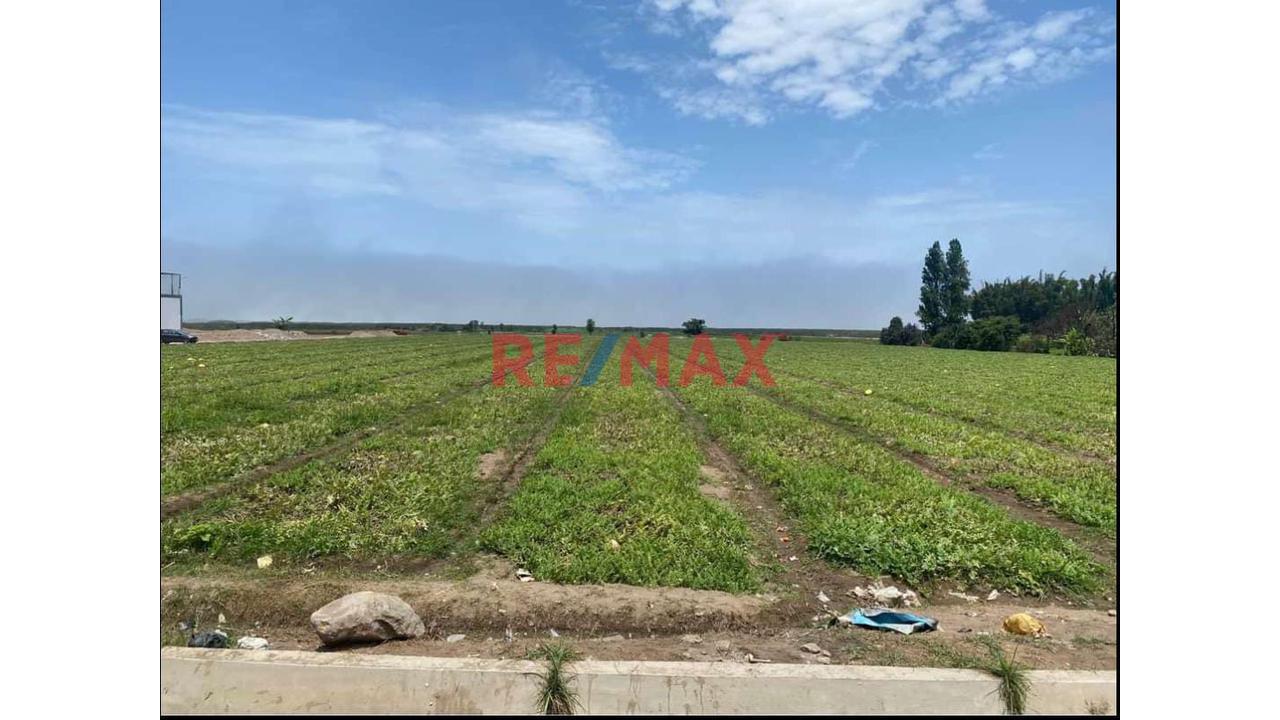 Venta De 1.17 Has En Chancay A 2Km Del Puerto $130 Por M2 - Sector Las Salinas - 1
