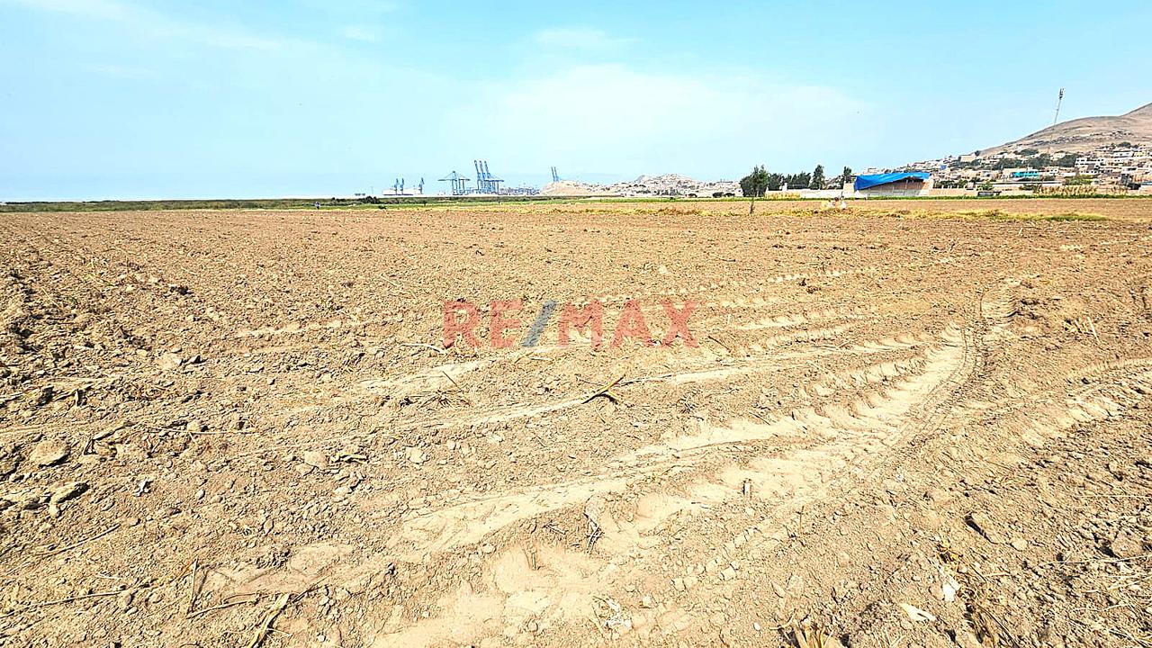Venta De 1.17 Has En Chancay A 2Km Del Puerto $130 Por M2 - Sector Las Salinas - 9