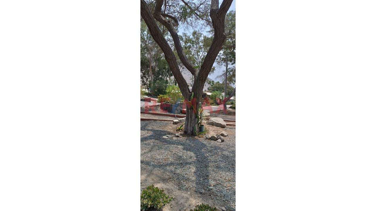 Venta De Hermosa Casa En Chaclacayo – Urb. El Cuadro - 15