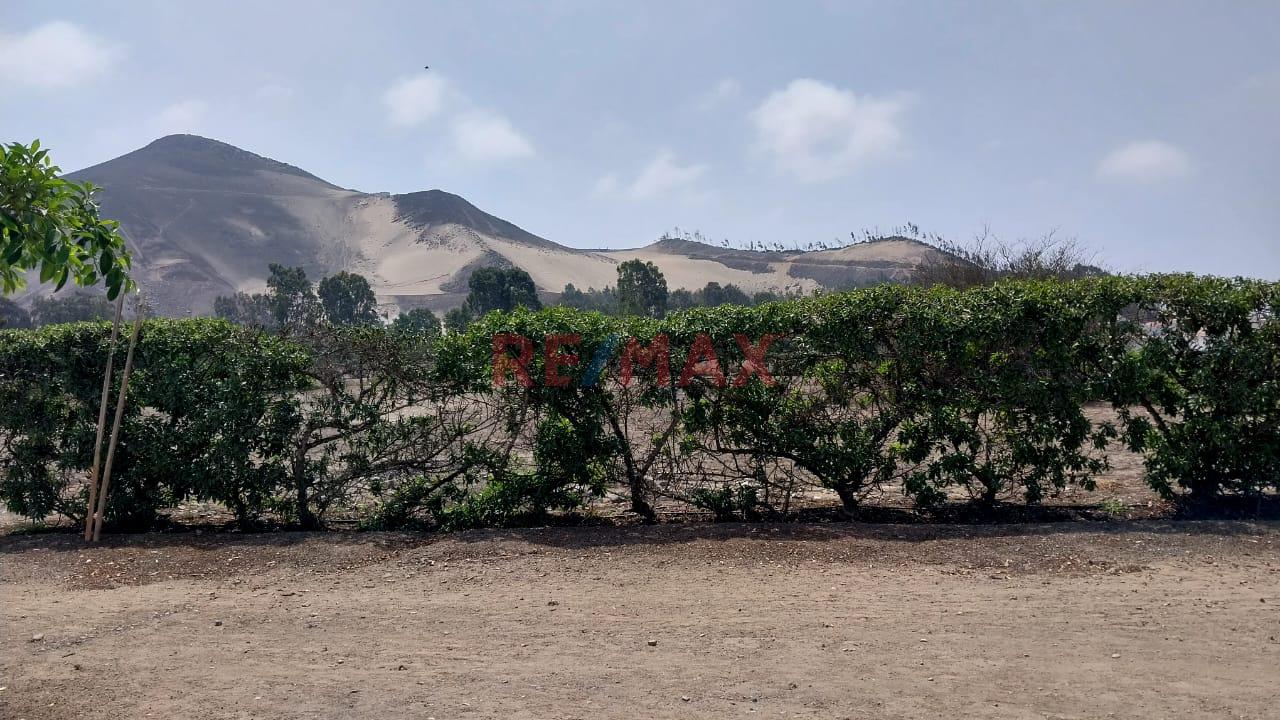 🏡 Terreno De 3400 M2 En Condominio Exclusivo Finca María – Pachacamac — foto 5