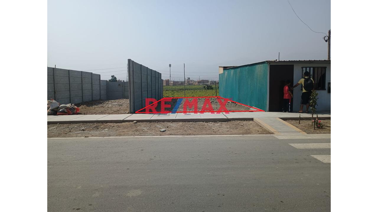 Remate Por Salud!!! Terreno En Venta, Av. Los Ficus V Etapa - Carabayllo