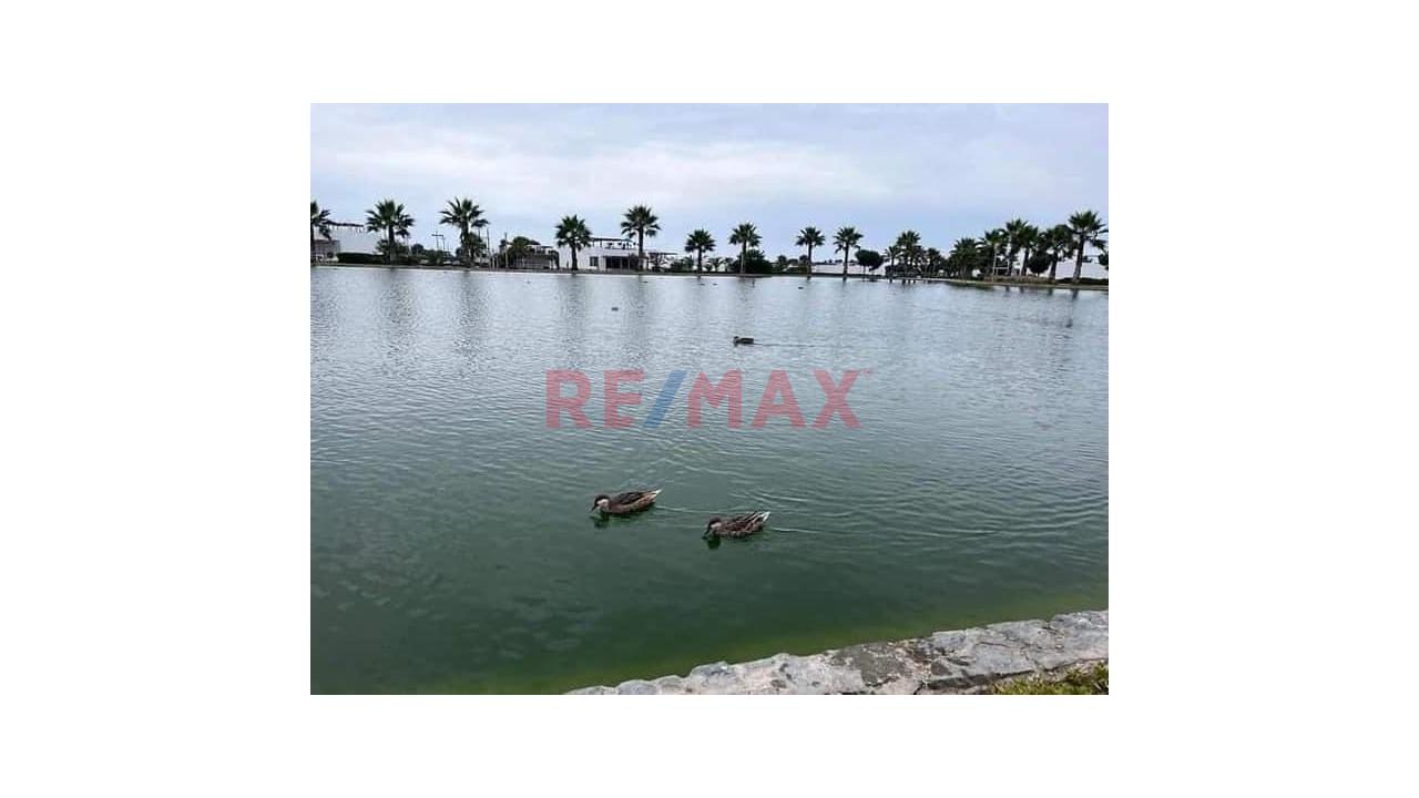 Excelente Oportunidad De Inversión En Playa Coral: Terreno Con Ubicación Inmejorable — foto 9