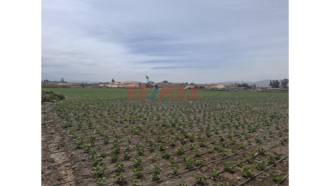 Vendo Lindo Y Amplio Fundo Ubicado En Cerro Colorado – Arequipa - 16