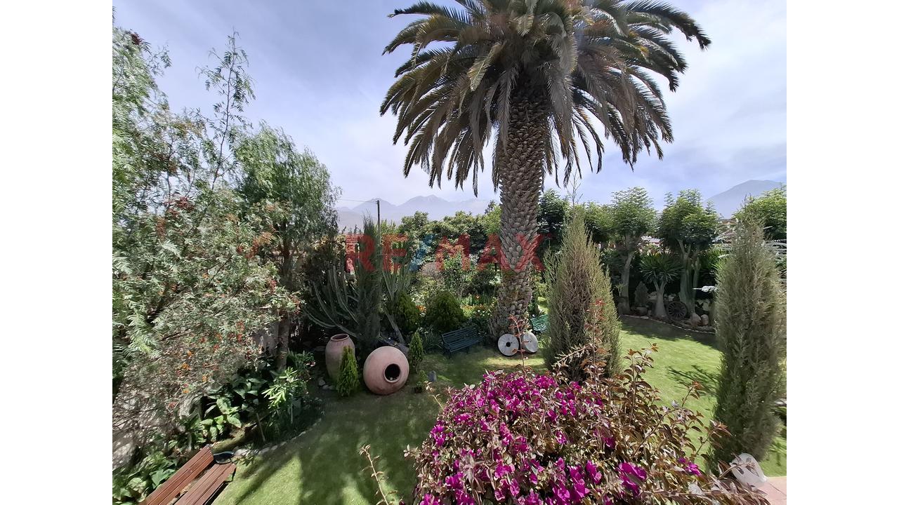 Vendo Lindo Y Amplio Fundo Ubicado En Cerro Colorado – Arequipa - 15